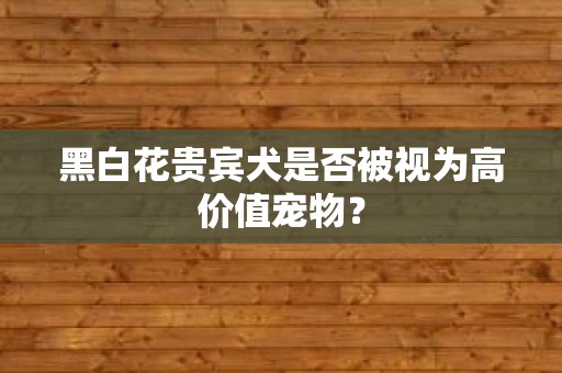 黑白花贵宾犬是否被视为高价值宠物？