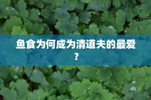 鱼食为何成为清道夫的最爱？