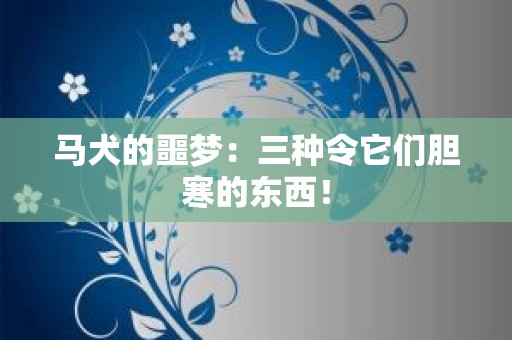 马犬的噩梦：三种令它们胆寒的东西！
