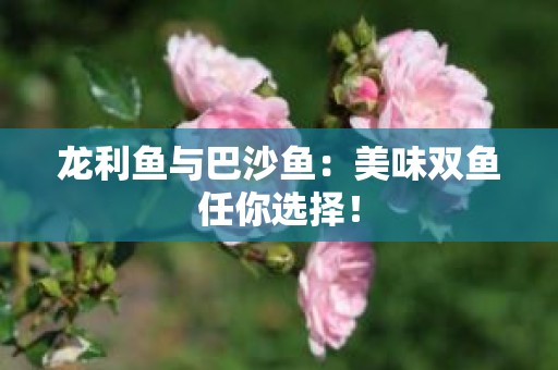 龙利鱼与巴沙鱼：美味双鱼任你选择！