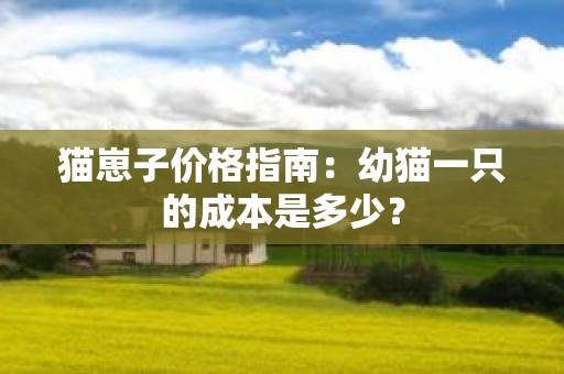 猫崽子价格指南：幼猫一只的成本是多少？