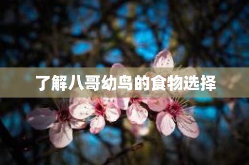 了解八哥幼鸟的食物选择