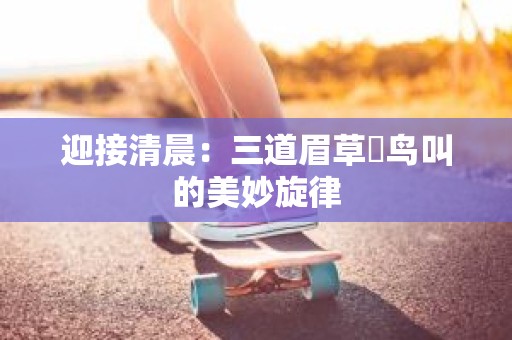 迎接清晨：三道眉草鹀鸟叫的美妙旋律