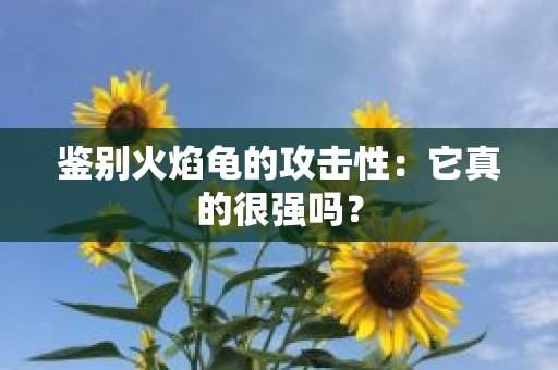 鉴别火焰龟的攻击性：它真的很强吗？