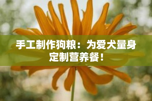 手工制作狗粮：为爱犬量身定制营养餐！