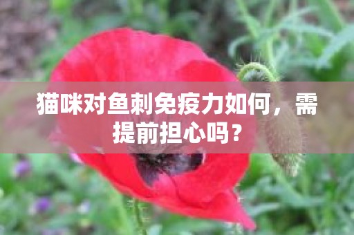 猫咪对鱼刺免疫力如何，需提前担心吗？