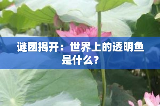 谜团揭开：世界上的透明鱼是什么？