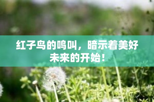 红子鸟的鸣叫，暗示着美好未来的开始！