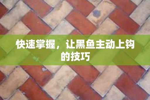 快速掌握，让黑鱼主动上钩的技巧