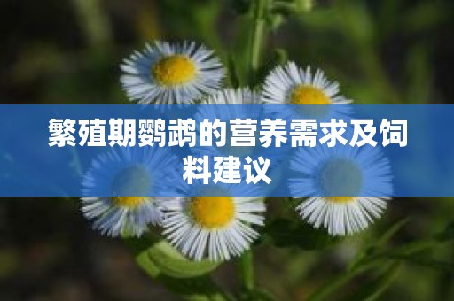 繁殖期鹦鹉的营养需求及饲料建议