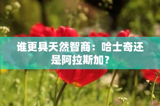 谁更具天然智商：哈士奇还是阿拉斯加？