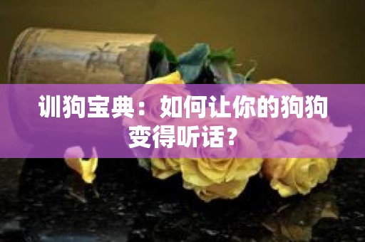 训狗宝典：如何让你的狗狗变得听话？