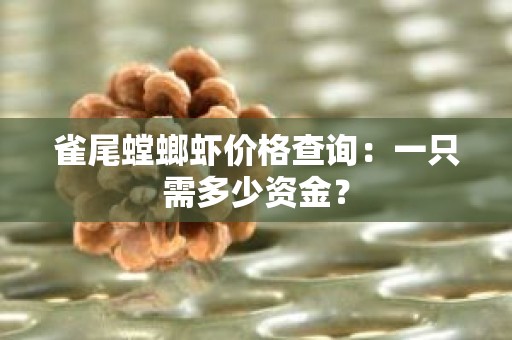 雀尾螳螂虾价格查询：一只需多少资金？