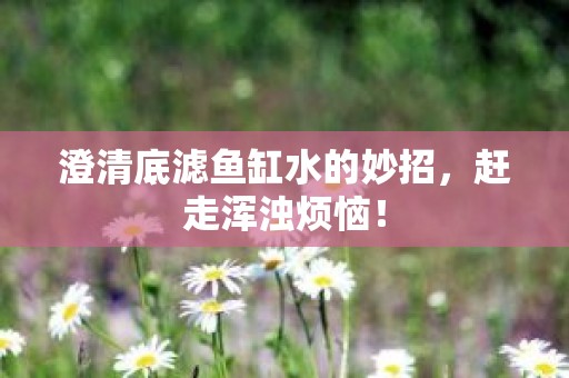 澄清底滤鱼缸水的妙招，赶走浑浊烦恼！