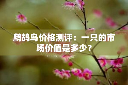鹧鸪鸟价格测评：一只的市场价值是多少？