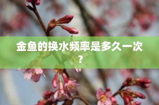 金鱼的换水频率是多久一次？