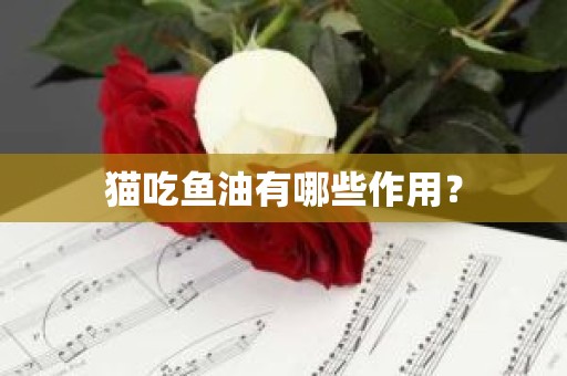 猫吃鱼油有哪些作用？