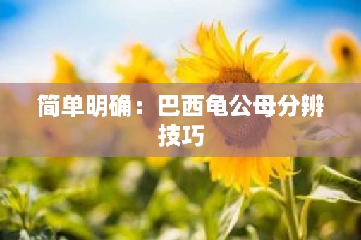 简单明确：巴西龟公母分辨技巧