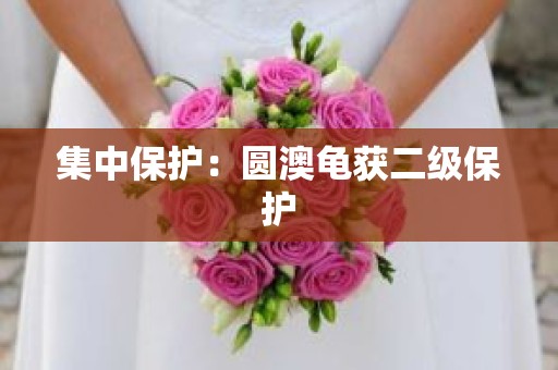 集中保护：圆澳龟获二级保护