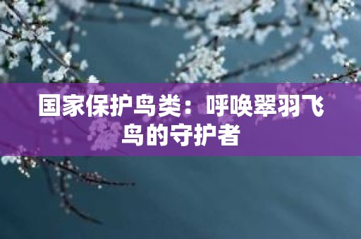 国家保护鸟类：呼唤翠羽飞鸟的守护者