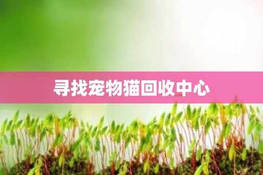 寻找宠物猫回收中心