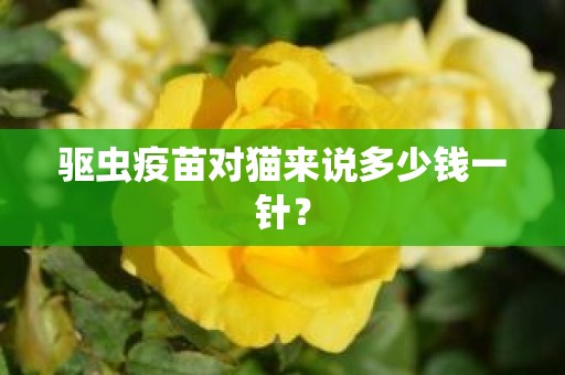 驱虫疫苗对猫来说多少钱一针？