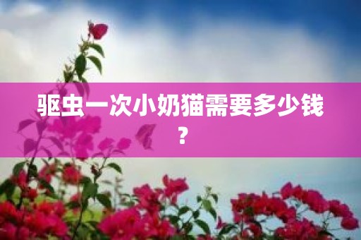 驱虫一次小奶猫需要多少钱？