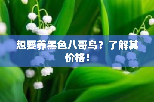 想要养黑色八哥鸟？了解其价格！
