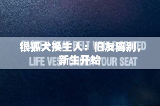 银狐犬换主人：旧友离别，新生开始