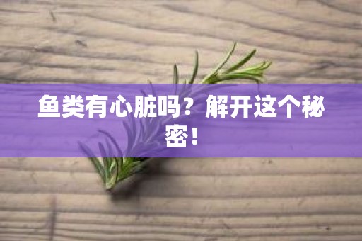 鱼类有心脏吗？解开这个秘密！