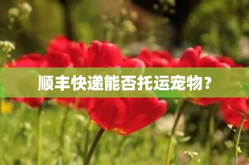 顺丰快递能否托运宠物？