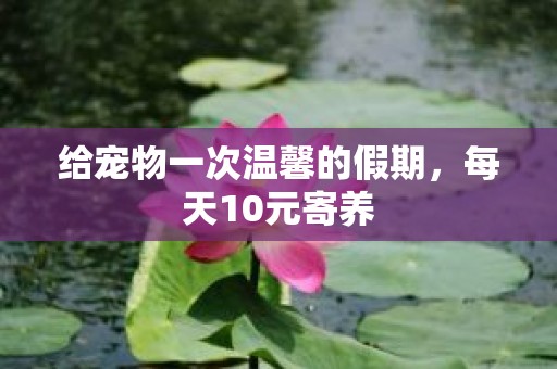 给宠物一次温馨的假期，每天10元寄养
