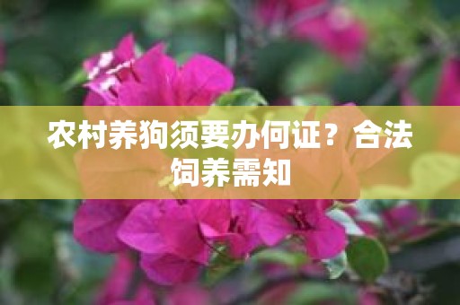 农村养狗须要办何证？合法饲养需知