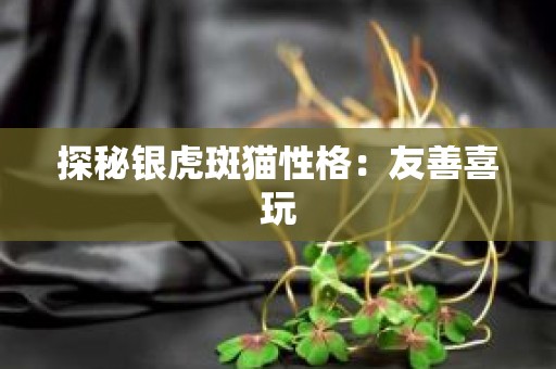 探秘银虎斑猫性格：友善喜玩