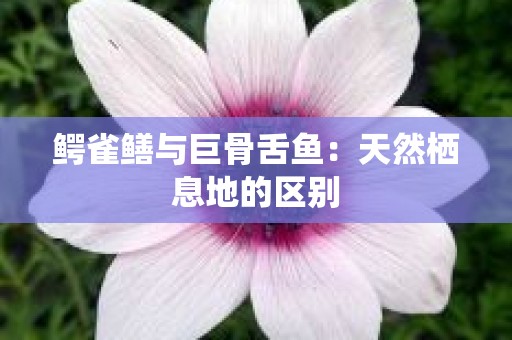 鳄雀鳝与巨骨舌鱼：天然栖息地的区别