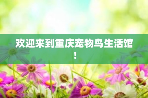 欢迎来到重庆宠物鸟生活馆！