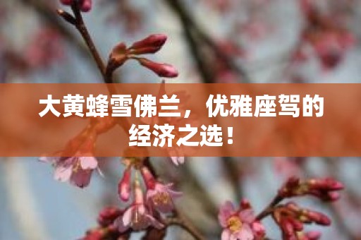 大黄蜂雪佛兰，优雅座驾的经济之选！