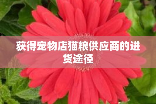 获得宠物店猫粮供应商的进货途径