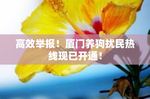 高效举报！厦门养狗扰民热线现已开通！