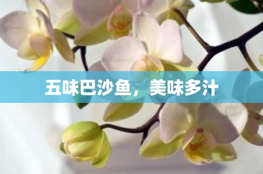 五味巴沙鱼，美味多汁