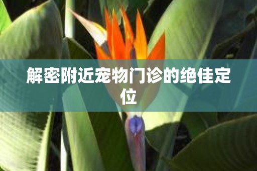 解密附近宠物门诊的绝佳定位