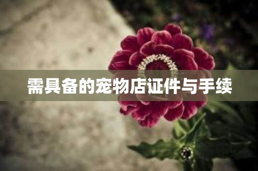 需具备的宠物店证件与手续