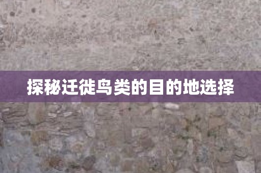 探秘迁徙鸟类的目的地选择