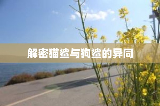 解密猫鲨与狗鲨的异同