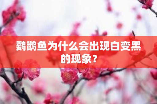 鹦鹉鱼为什么会出现白变黑的现象？