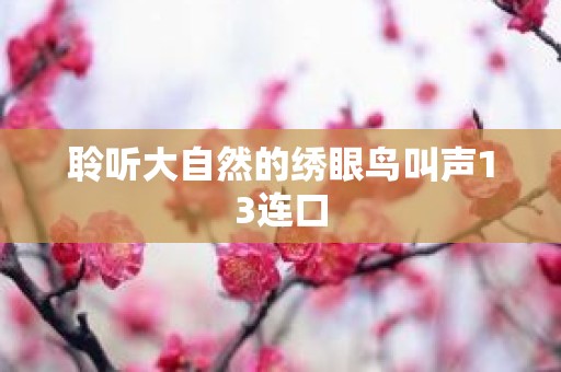 聆听大自然的绣眼鸟叫声13连口