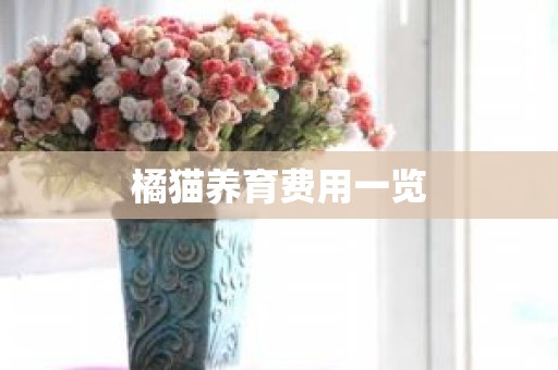 橘猫养育费用一览