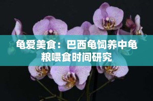 龟爱美食：巴西龟饲养中龟粮喂食时间研究