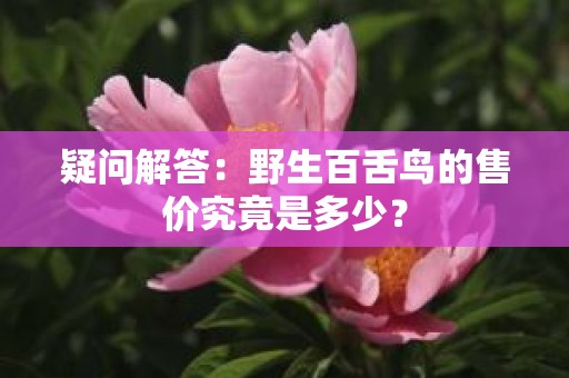 疑问解答：野生百舌鸟的售价究竟是多少？