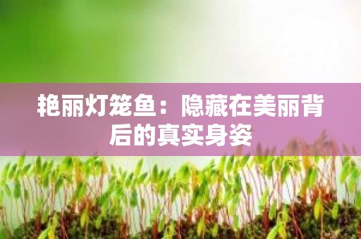 艳丽灯笼鱼：隐藏在美丽背后的真实身姿